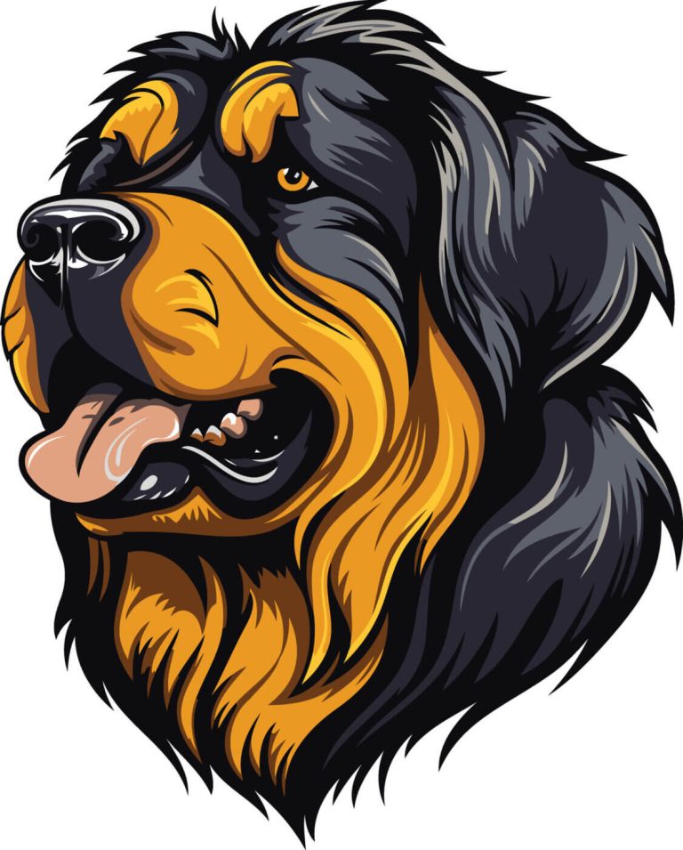 Dogfights in Open Source Search: Solr, OpenSearch and Elasticsearch
